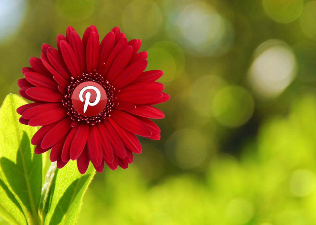 How to Use Pinterest for Restaurant Marketing: Your Starter Guide