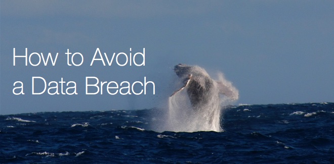 How to Avoid a Data Breach