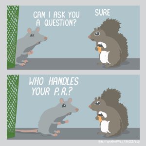 PR squirrels