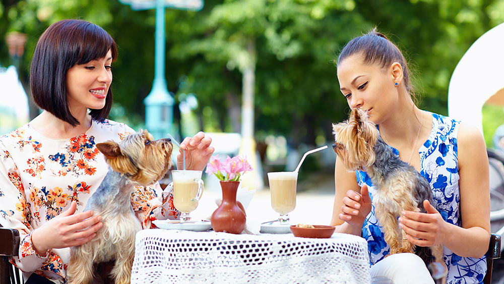 Two women sit at an outdoor restaurant with two tiny dogs in their laps